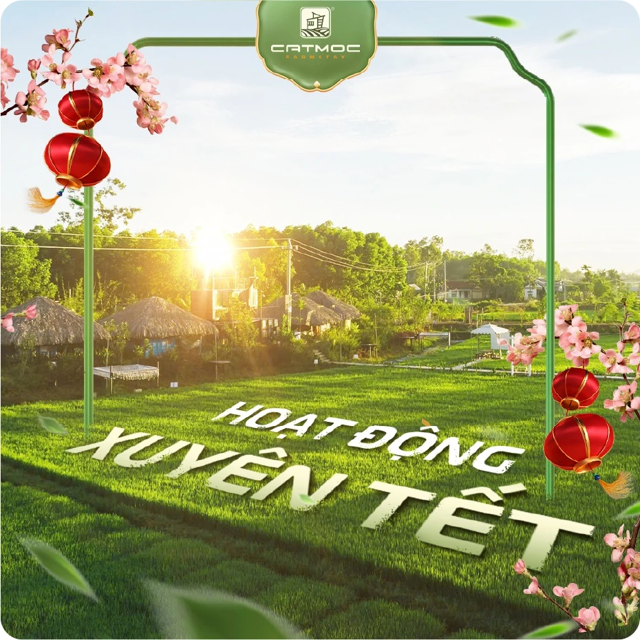 Thiết kế Hoạt động xuyên Tết